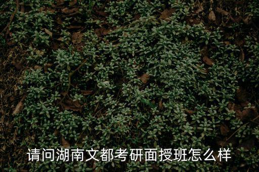 衡阳文都怎么样,文都教育考研怎么样