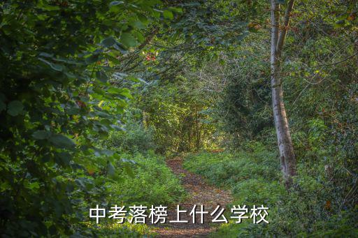 中考落榜上什么学校