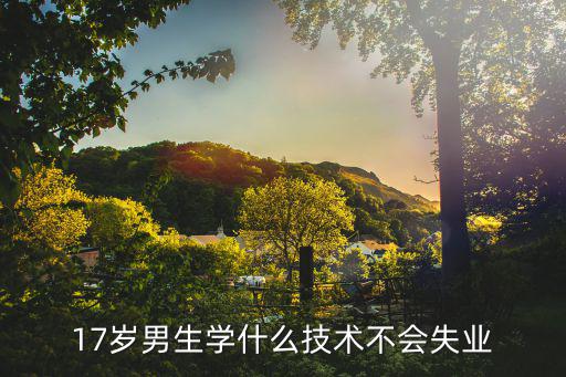17岁男孩能学什么,17岁男生学什么接技术好