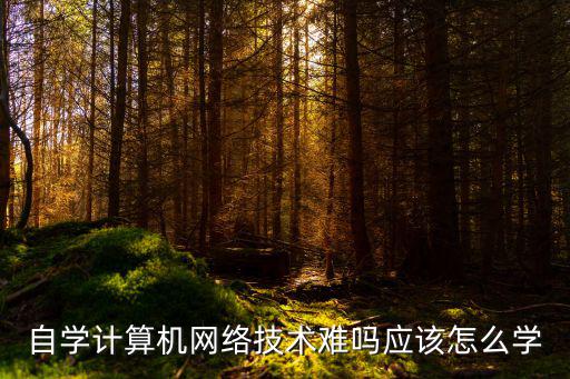 怎么学计算机网络,我是学计算机网络技术的