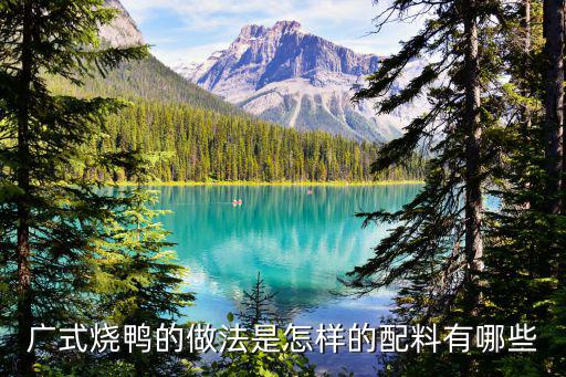 广东哪里有学做烧鸭的,在哪里学广东烧鹅的做法