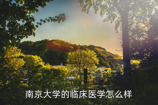 南京大学的临床医学怎么样