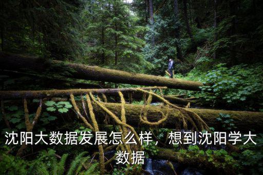 沈阳大数据发展怎么样，想到沈阳学大数据