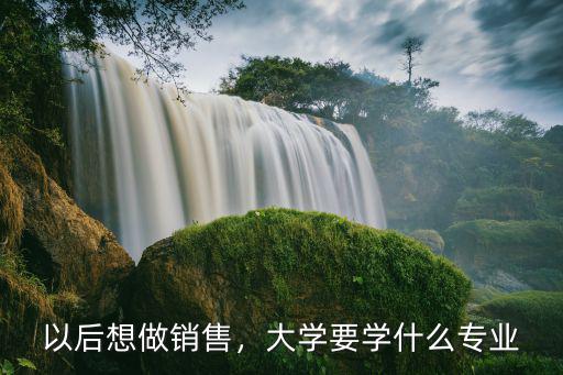 以后想做销售，大学要学什么专业