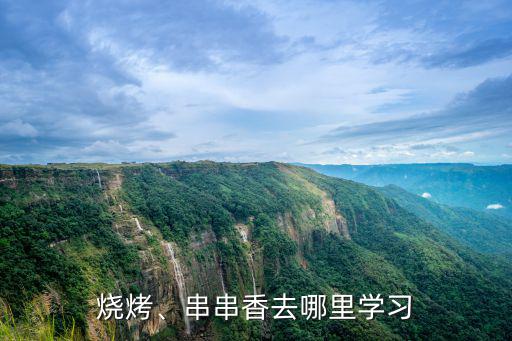 烧烤、串串香去哪里学习