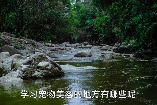 学习宠物美容的地方有哪些呢