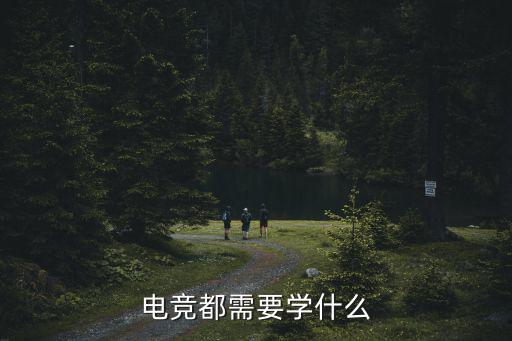 电竞都需要学什么