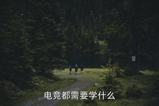 电竞都需要学什么