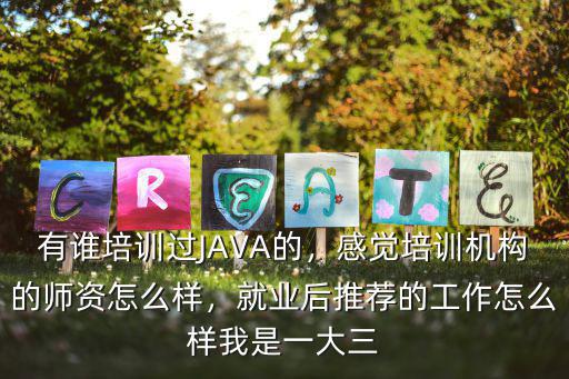 有谁培训过JAVA的，感觉培训机构的师资怎么样，就业后推荐的工作怎么样我是一大三