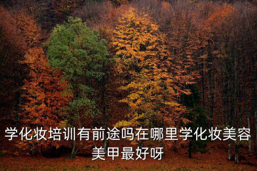 学化妆培训有前途吗在哪里学化妆美容美甲最好呀