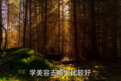 想学美容去哪里,全职妈妈去哪学美容
