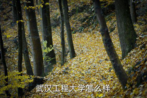 武汉建筑学校怎么样,武汉工程大学怎么样