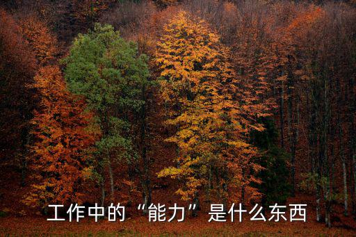 工作中的“能力”是什么东西
