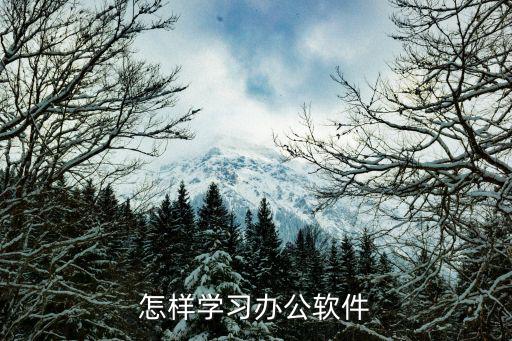 怎样学习办公软件
