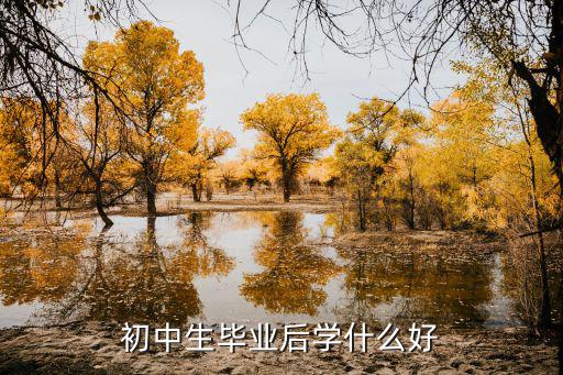 初中生毕业后学什么好