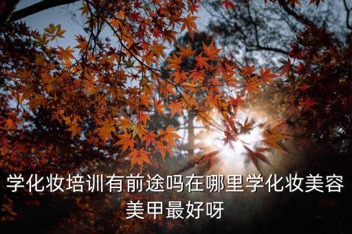 到哪里学美容护肤,在哪里学化妆美容美甲最好呀