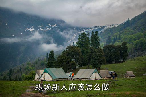 职场新人应该怎么做