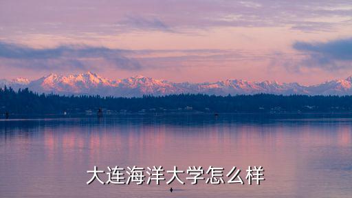 大连科威视光学校怎么样,大连财经学院怎么样