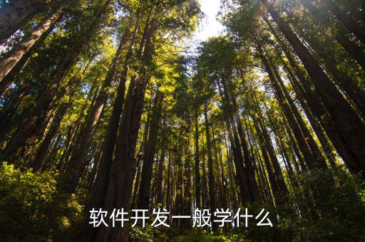 软件开发一般学什么
