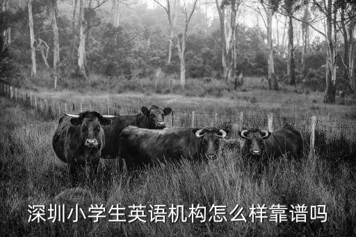 深圳小学生英语机构怎么样靠谱吗