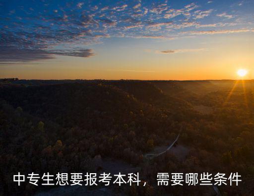 中专生想要报考本科，需要哪些条件