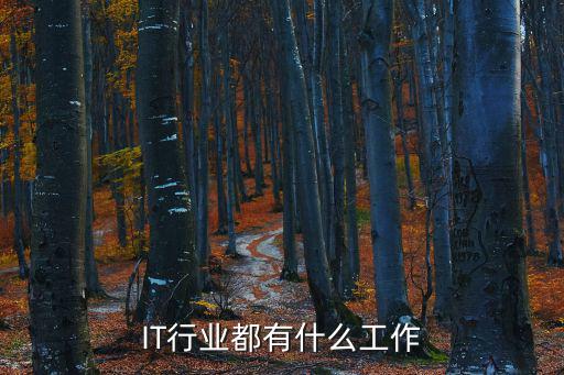 做it是什么工作,房地产IT主要工作是什么