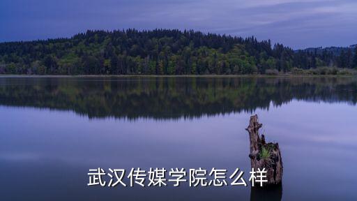 武汉商校怎么样,武汉体育学院怎么样