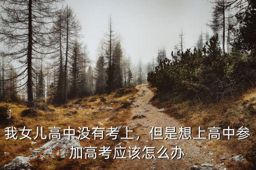 考不了高考怎么办,考不上本科怎么办