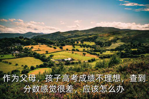 作为父母，孩子高考成绩不理想，查到分数感觉很差，应该怎么办