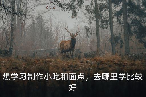 想学习制作小吃和面点，去哪里学比较好