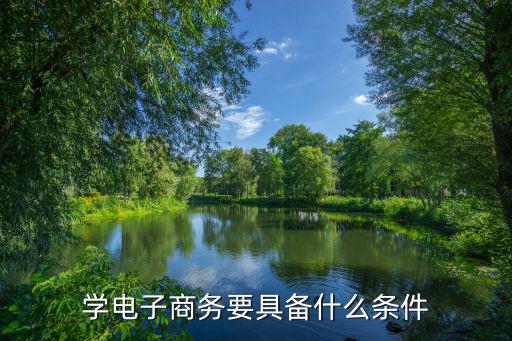 学电子商务要具备什么条件