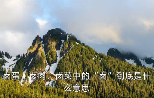 卤菜的卤是什么意思,卤菜中的卤到底是什么意思
