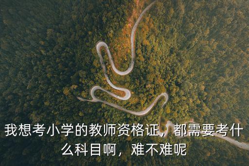 当小学老师都需要什么证,都需要考什么科目啊
