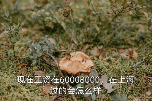 现在工资在60008000，在上海过的会怎么样