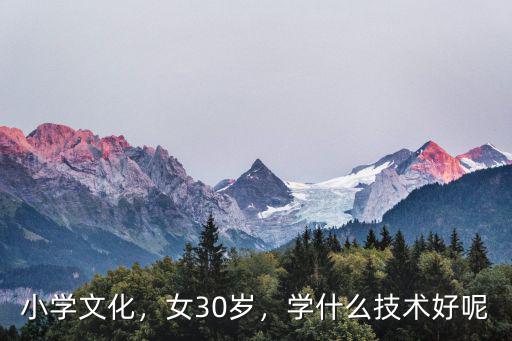 小学文化，女30岁，学什么技术好呢