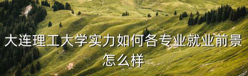 大连理工大学实力如何各专业就业前景怎么样