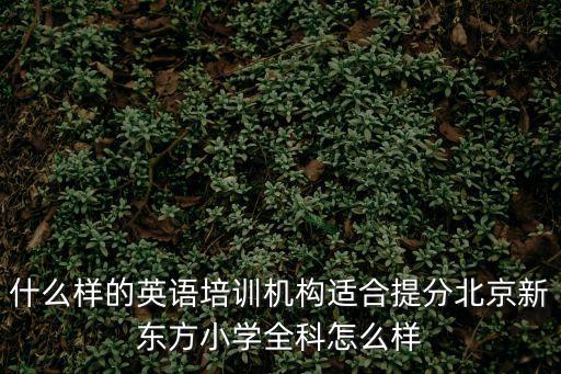 新东方小学培训怎么样,北京新东方小学全科怎么样