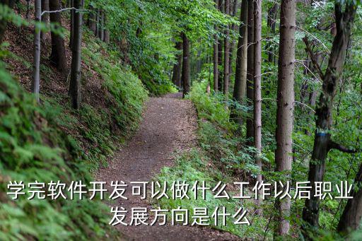 学完软件开发可以做什么工作以后职业发展方向是什么