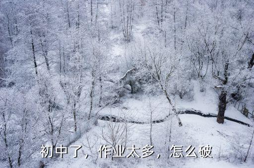 初中了，作业太多，怎么破