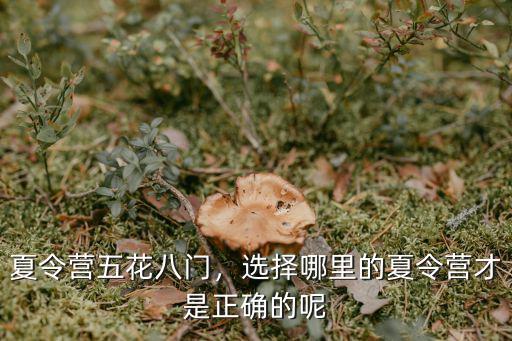 夏令营五花八门，选择哪里的夏令营才是正确的呢