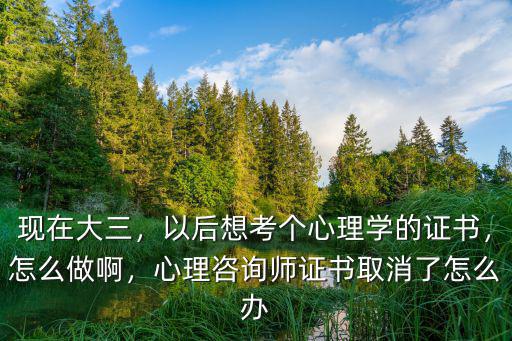 现在大三，以后想考个心理学的证书，怎么做啊，心理咨询师证书取消了怎么办