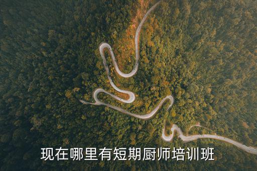 现在哪里有短期厨师培训班
