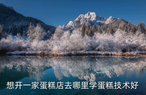 想开一家蛋糕店去哪里学蛋糕技术好