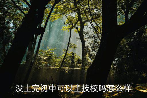 没上完初中可以上技校吗怎么样