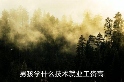 男孩学什么技术就业工资高