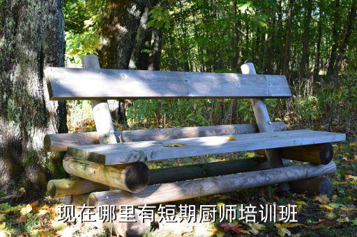 现在哪里有短期厨师培训班