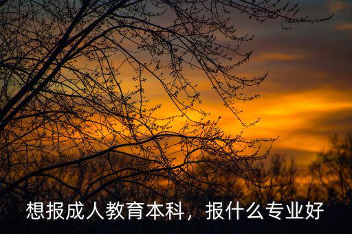 成人大学报什么专业好,想报成人教育本科