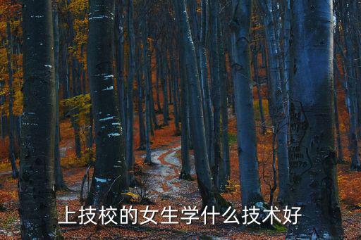 上技校的女生学什么技术好