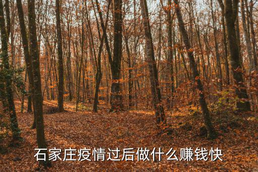 石家庄疫情过后做什么赚钱快
