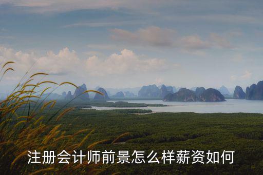 注册会计师前景怎么样薪资如何